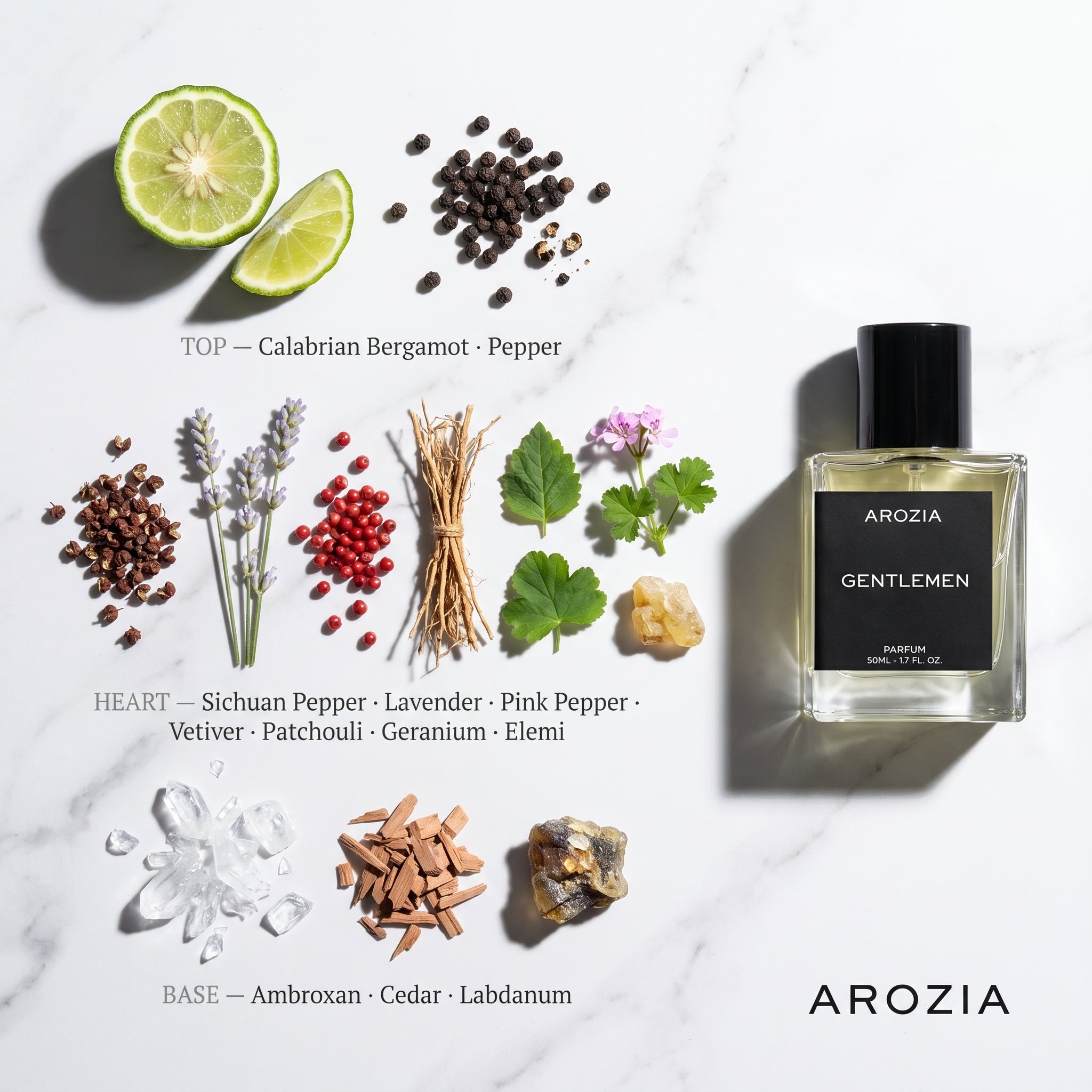 Gentlemen for Him | Parfum